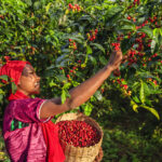 Monika Kissová: Fairtrade káva je káva s chuťou dobrého skutku 