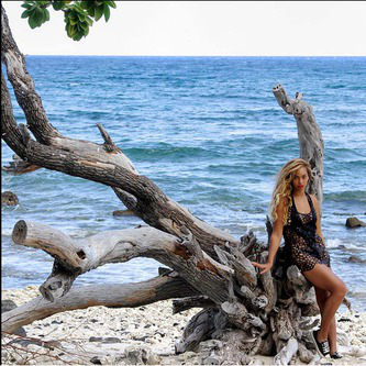 Beyoncé na Havaji, <script srcset=